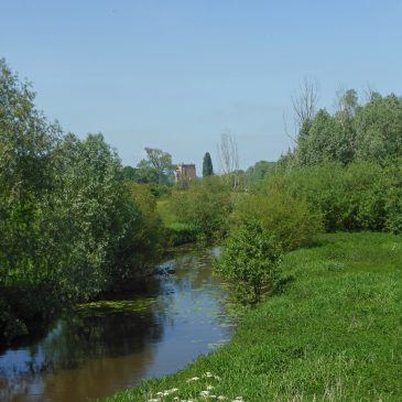 IJsselvallei Rammelswaard (Slot Nijenbeek)